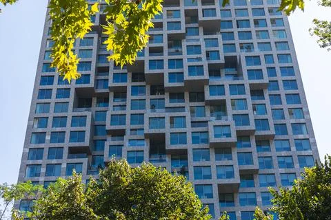 Frontal View of Downtown One Skyscraper Framed by Trees Фото