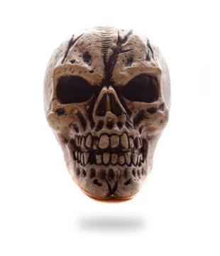 Frontal View Human Skull Stock Photos