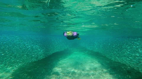 Frontal view of snorkeler in wetsuit navigating natural corridor through massive Stock Footage 337611858