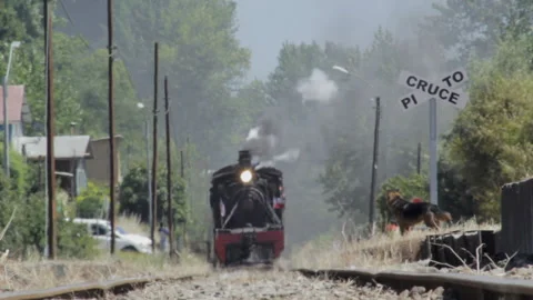 Frontal view of a train towards camera Stock Footage 133006451