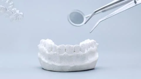 Frontal view of a white plaster teeth cast with levitating dental mirror, twe Stock Photos