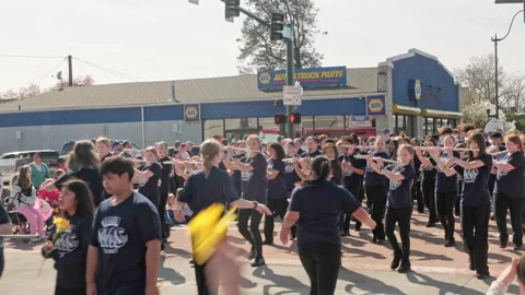 Frontier Middle School Falcons marching band playing flutes down t sammer egg 57 Stock Footage 340169576
