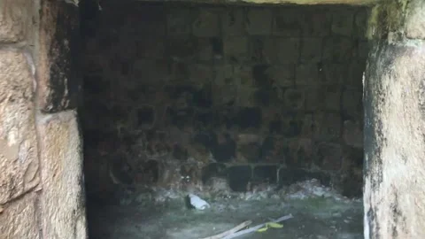 Frontpalacepanzoominenterruin38sec 스톡 동영상 194067372