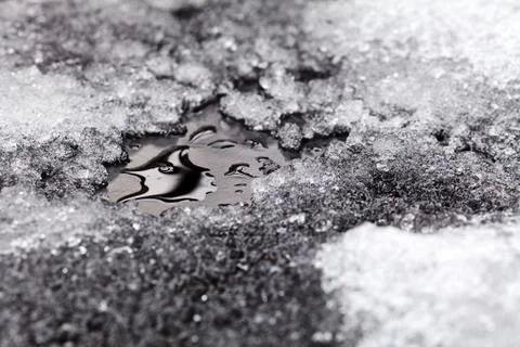 Froozen puddle Stock Photos