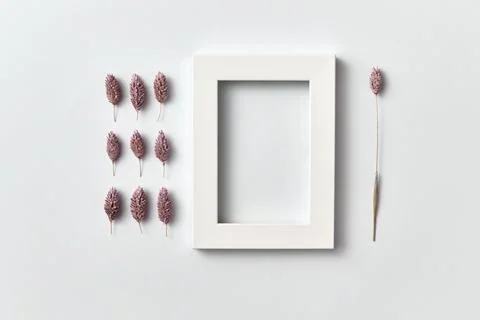 Froral pattern of dry pink flowers buds and empty frame on a light background Stock Photos
