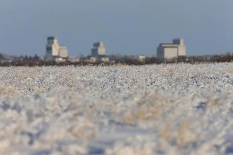 Frost and Grain Elevator in Winter Canada Stock Photos