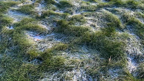 Frost and snow on grass Video stock 257307015