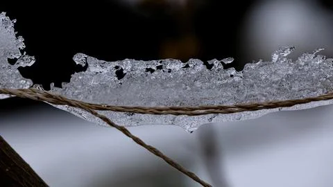 Frost and string form an interesting ice structure Stock Photos