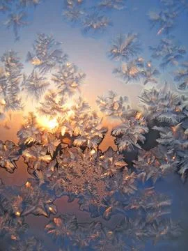 Frost and sun Stock-Fotos