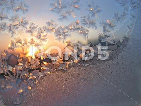 Frost and sun Stock Photos