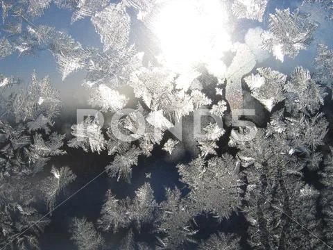 Frost and sun Stock Photos