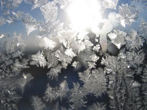 Frost and sun Stock Photos