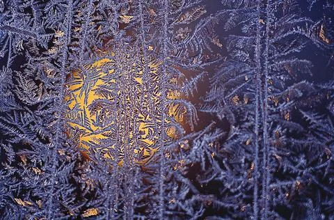 Frost and sun Stock Photos