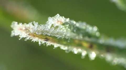 Frost on Blade of Grass - Extreme Close Up Stock-Footage 12553634