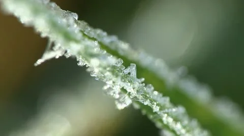 Frost on Blade of Grass - Extreme Close Up 2 Stock Footage 12553651