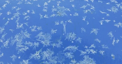 Frost on the blue surface 動画素材 98395572