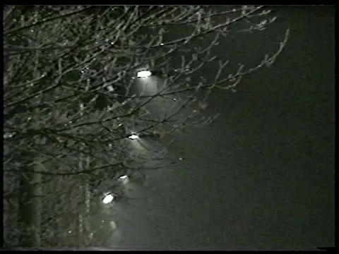 Frost Branches Stock Footage 340541727