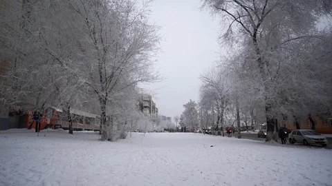 Frost on the branches of trees in the city cloudy sky in the morning Stock Footage 100055131