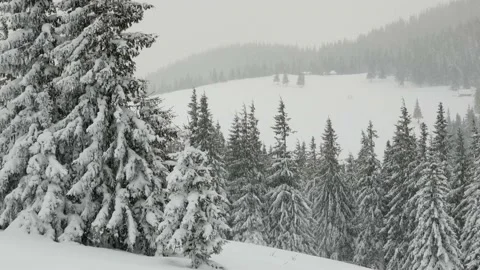 Frost in the Carpathians Stock Footage 170773503