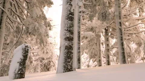 Frost in the Carpathians Stock-Footage 170788258