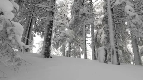 Frost in the Carpathians Stock Footage 170788549