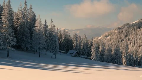 Frost in the Carpathians Vídeos de archivo 170789062