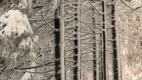 Frost in the Carpathians Stock Footage 170789435