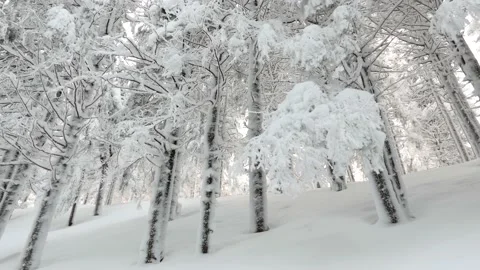 Frost in the Carpathians Stock Footage 170790389