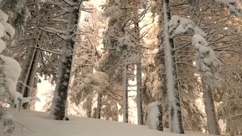 Frost in the Carpathians Stock Footage 170791015