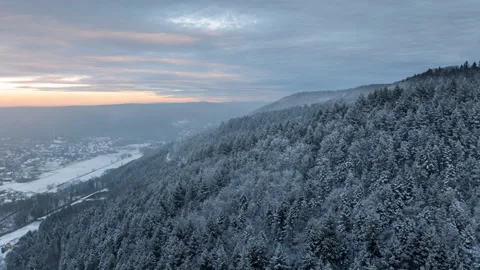 Frost-Cloaked Forest Hyperlapse Stock Footage 264381789
