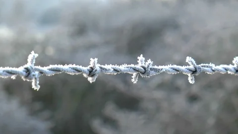 Frost covered Barbed Wire Stock Footage 102172009