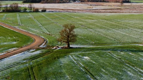 Frost Covered Fields Reflect Nature's Fragility And Agricultural Uncertainty Stock Footage 337481868