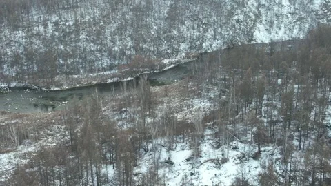 Frost Covered Forest On Winter Plateau in Arxan, China Stock Footage 344036667