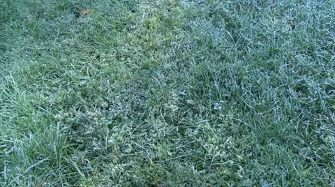 Frost covered grass on a cold autumn morning Stock Footage 12324968