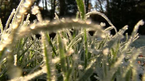 Frost covered grass on a cold autumn morning Stock-Footage 12574281