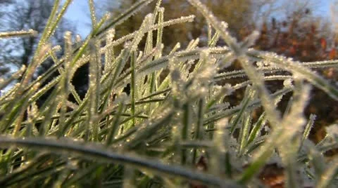 Frost covered grass on a cold autumn morning Stock-Footage 12574474
