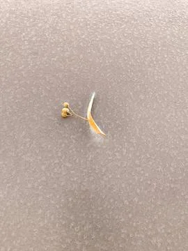 Frost-covered ochre leaf resting on an icy car hood. Foto stock