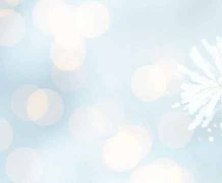 Frost-Covered Pine Branches Winter Panorama with Copy Space Stock Photos
