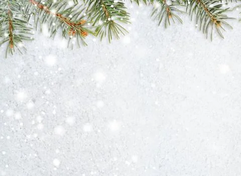 Frost-Covered Pine Branches Winter Panorama with Copy Space Stock Photos