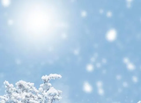 Frost-Covered Pine Branches Winter Panorama with Copy Space Stock Photos