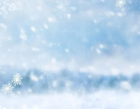 Frost-Covered Pine Branches Winter Panorama with Copy Space Stock Photos