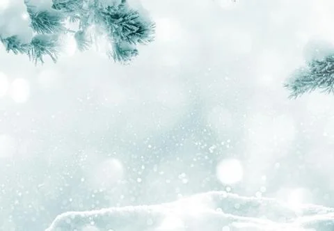 Frost-Covered Pine Branches Winter Panorama with Copy Space Stock Photos