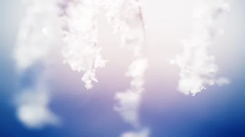 Frost-covered plants in winter forest at foggy sunrise. Stock Footage 255637039