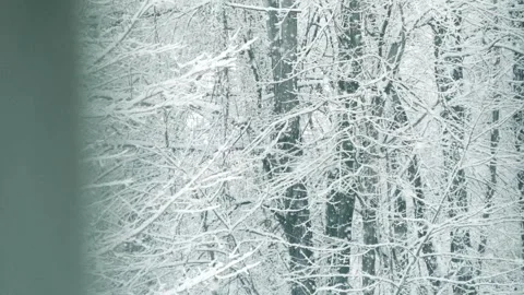 Frost Covered Tree Branches with Falling Snow in Slow Motion Seen Through Window Stock Footage 337135701