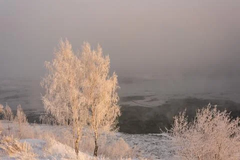 Frost-covered tree branches on the river bank in severe frost Stock Photos