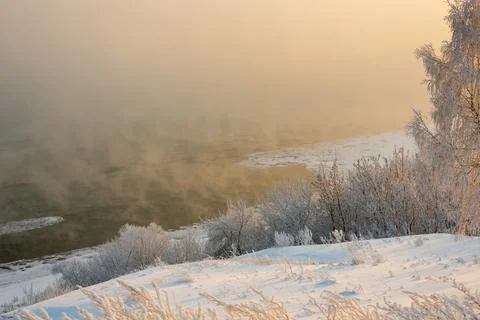 Frost-covered tree branches on the river bank in severe frost Stock Photos