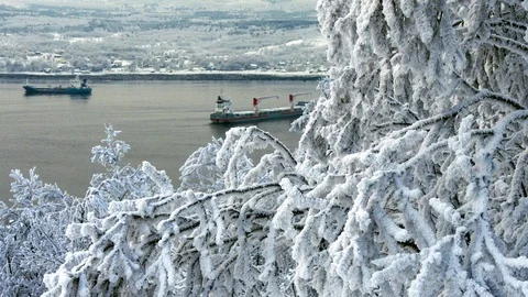 Frost-covered trees on the background of vessels floating on the bay. Stock Footage 120418264