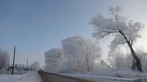 Frost-covered trees by the road in a Russian village Stock Footage 100947106