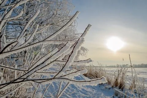 Frost-covered trees shining in the sunset sunlight. A picturesque and Stock Photos