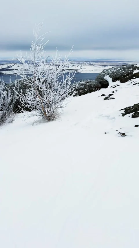 Frost-covered trees in winter mountains Stock Footage 298180167